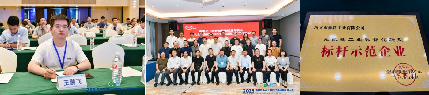 2025铝盐铁盐