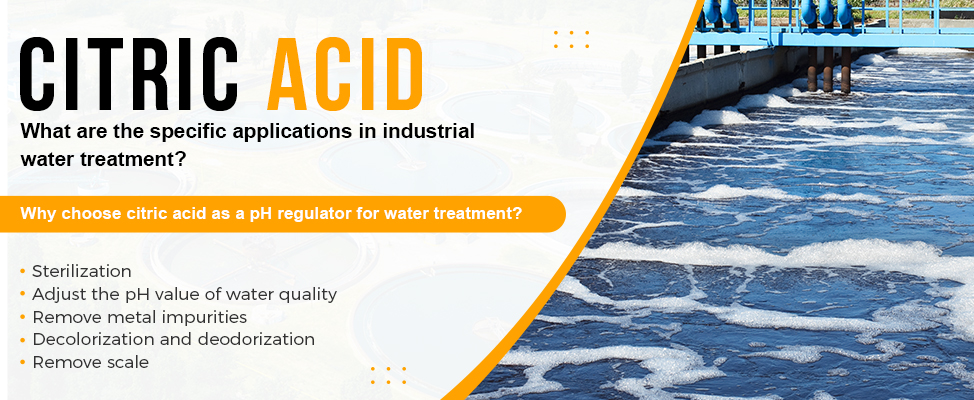 Why Choose Citric Acid as a pH Regulator