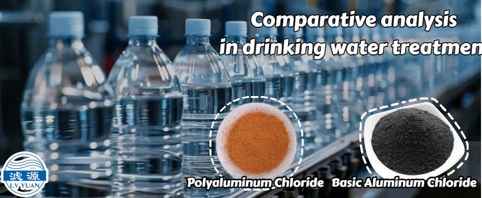 Comparative Analysis of PAC and BAC in Drinking Water Treatment
